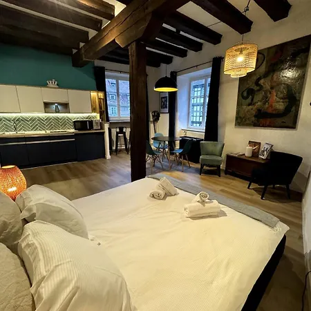 Les Schwendi En Hypercentre Appartamento *