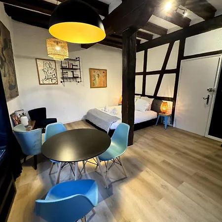 Les Schwendi En Hypercentre Appartamento *