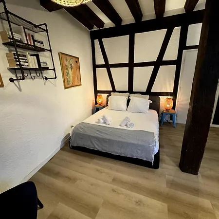 Appartamento Les Schwendi En Hypercentre Colmar