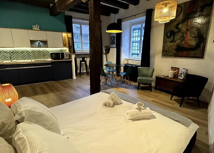 Les Schwendi En Hypercentre Appartamento *