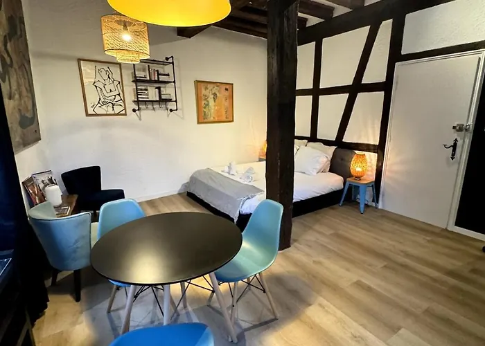 Les Schwendi En Hypercentre Appartamento *