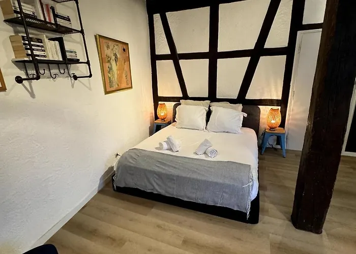 Appartamento Les Schwendi En Hypercentre Colmar