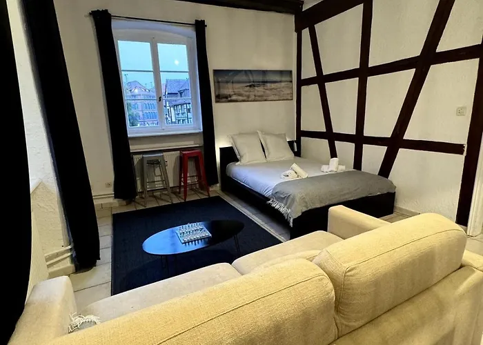 Les Schwendi En Hypercentre Appartamento Colmar