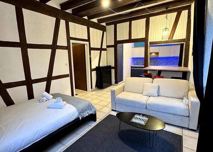 Les Schwendi En Hypercentre Appartamento *